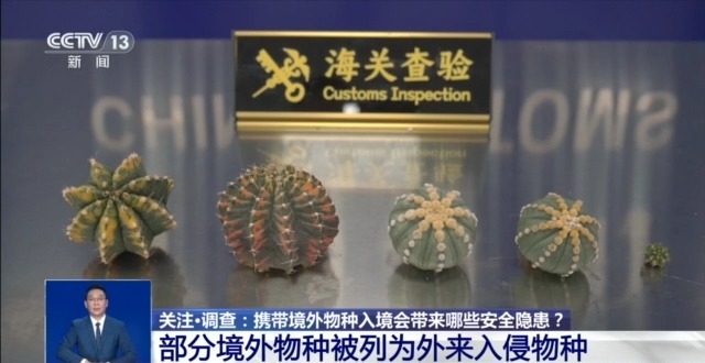 
山东大学齐鲁医院黄牛代挂号电话票贩子号贩子网上预约挂号,住院检查加快,@铲屎官们 养“异宠”或危害国家安全 这些行为违法了