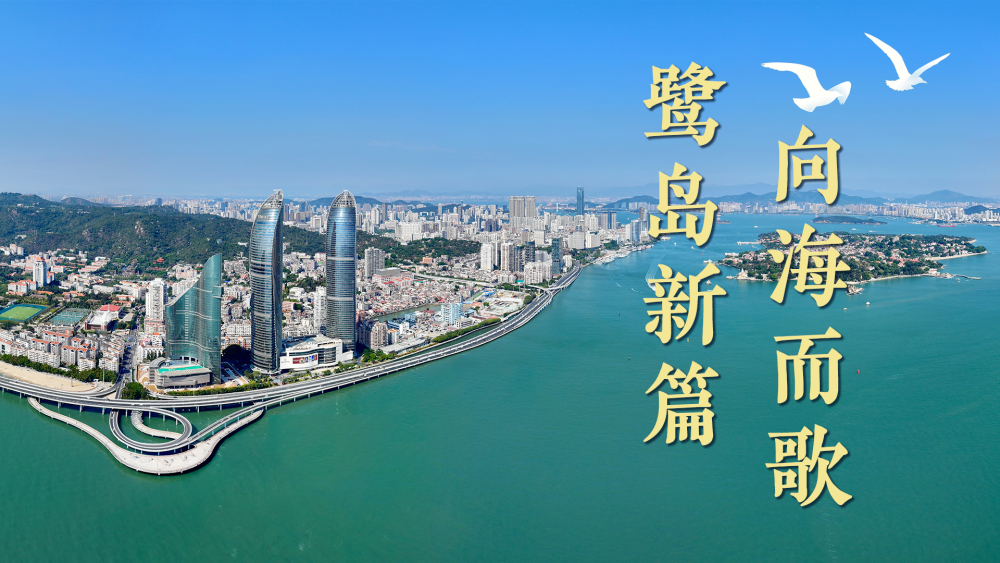 
天津肿瘤医院黄牛代挂号电话票贩子号贩子网上预约挂号,住院检查加快,微视频｜鹭岛新篇 向海而歌