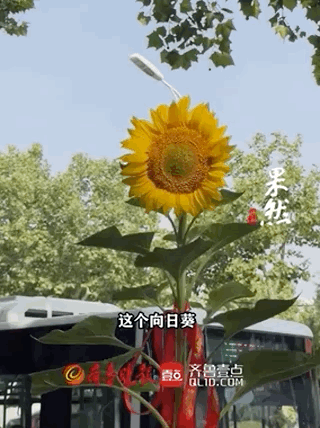 
上海儿童医学中心黄牛代挂号电话票贩子号贩子网上预约挂号,住院检查加快,这些高考送考名场面 满满都是仪式感
