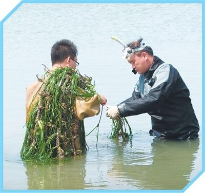 
北京301医院黄牛代挂号电话票贩子号贩子网上预约挂号,住院检查加快,科技小院如何助农惠农？