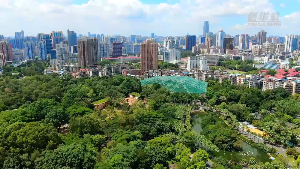 
杭州市人民医院黄牛代挂号电话票贩子号贩子网上预约挂号,住院检查加快,“格桑花”逐梦大湾区——益西金巴和他的“特殊朋友们”