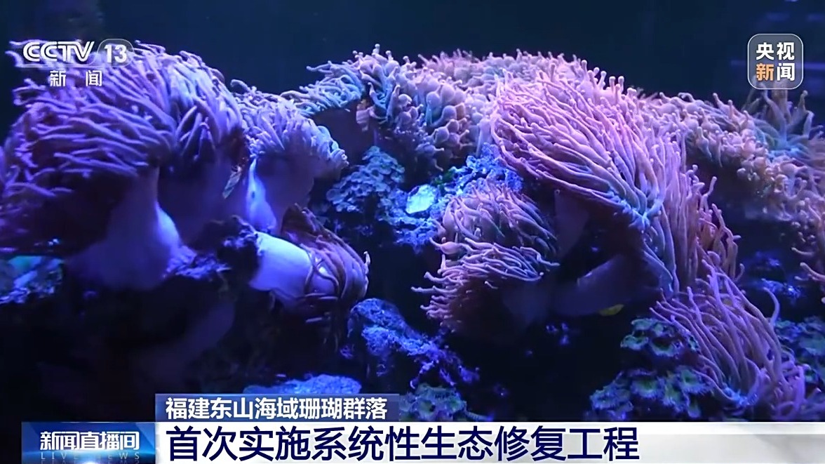 
广东省中医院黄牛代挂号电话票贩子号贩子网上预约挂号,住院检查加快,我国海洋能开发利用技术已迈入世界第一方阵