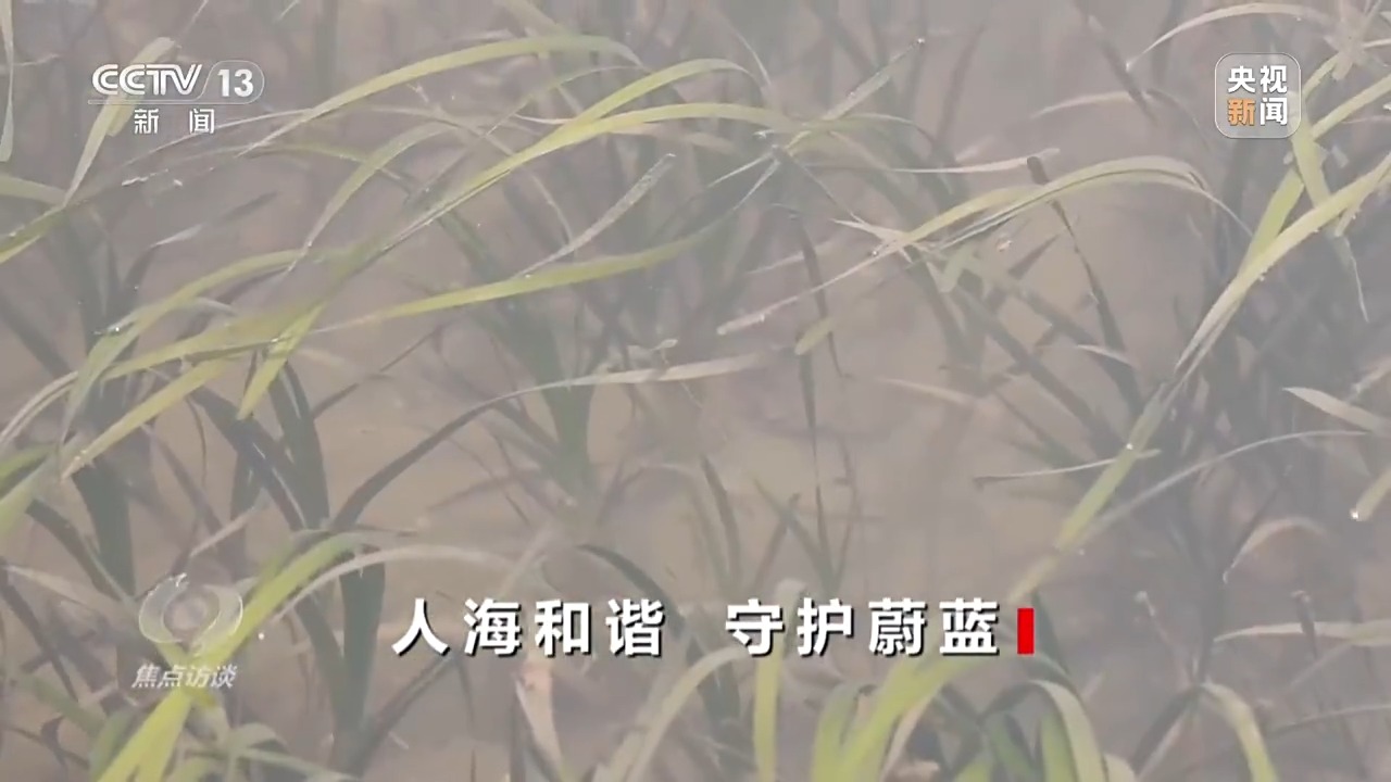 
中山二院黄牛代挂号电话票贩子号贩子网上预约挂号,住院检查加快,焦点访谈丨保护海洋生态 守好人海和谐的蓝色家园