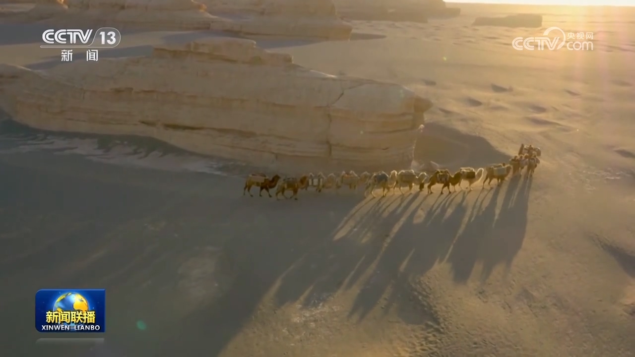 
北京妇产医院黄牛代挂号电话票贩子号贩子网上预约挂号,住院检查加快,【新思想引领新征程】推动文明交流互鉴 构建人类命运共同体