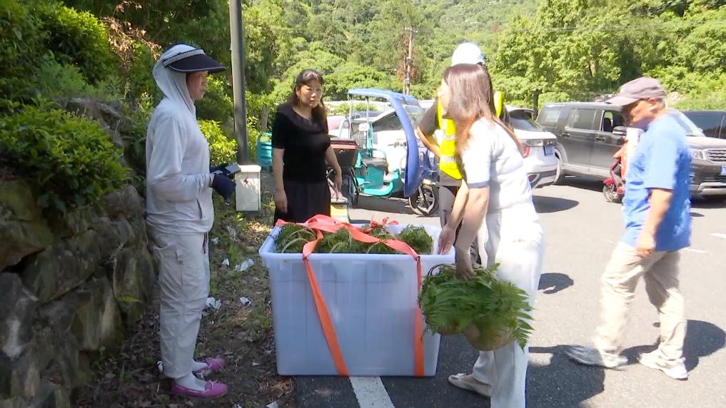 
广州中医院黄牛代挂号电话票贩子号贩子网上预约挂号,住院检查加快,新华视点｜绿色能源·低空经济·田间“速递”——经济新动能一线观察