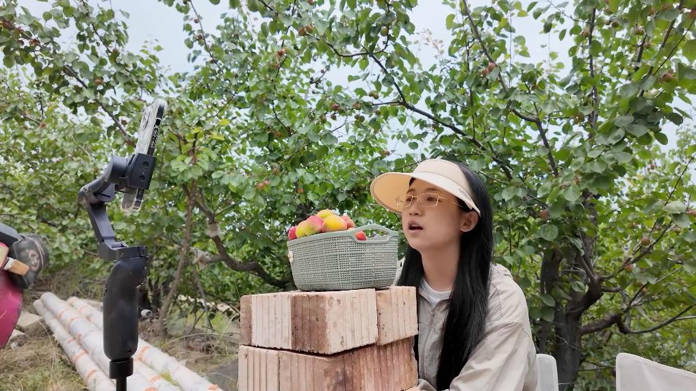 
广州中医院黄牛代挂号电话票贩子号贩子网上预约挂号,住院检查加快,新华视点｜绿色能源·低空经济·田间“速递”——经济新动能一线观察