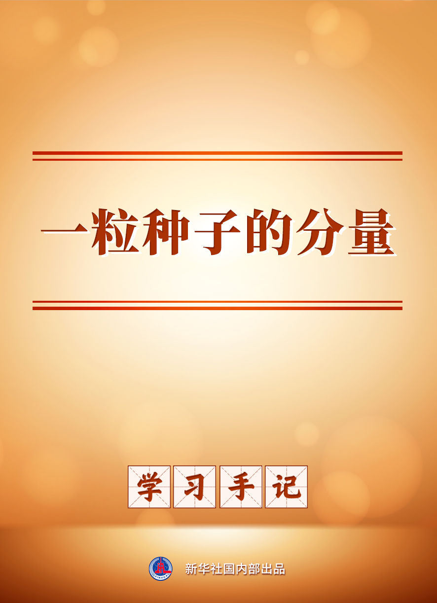 
西安西京医院黄牛代挂号电话票贩子号贩子网上预约挂号,住院检查加快,学习手记｜一粒种子的分量