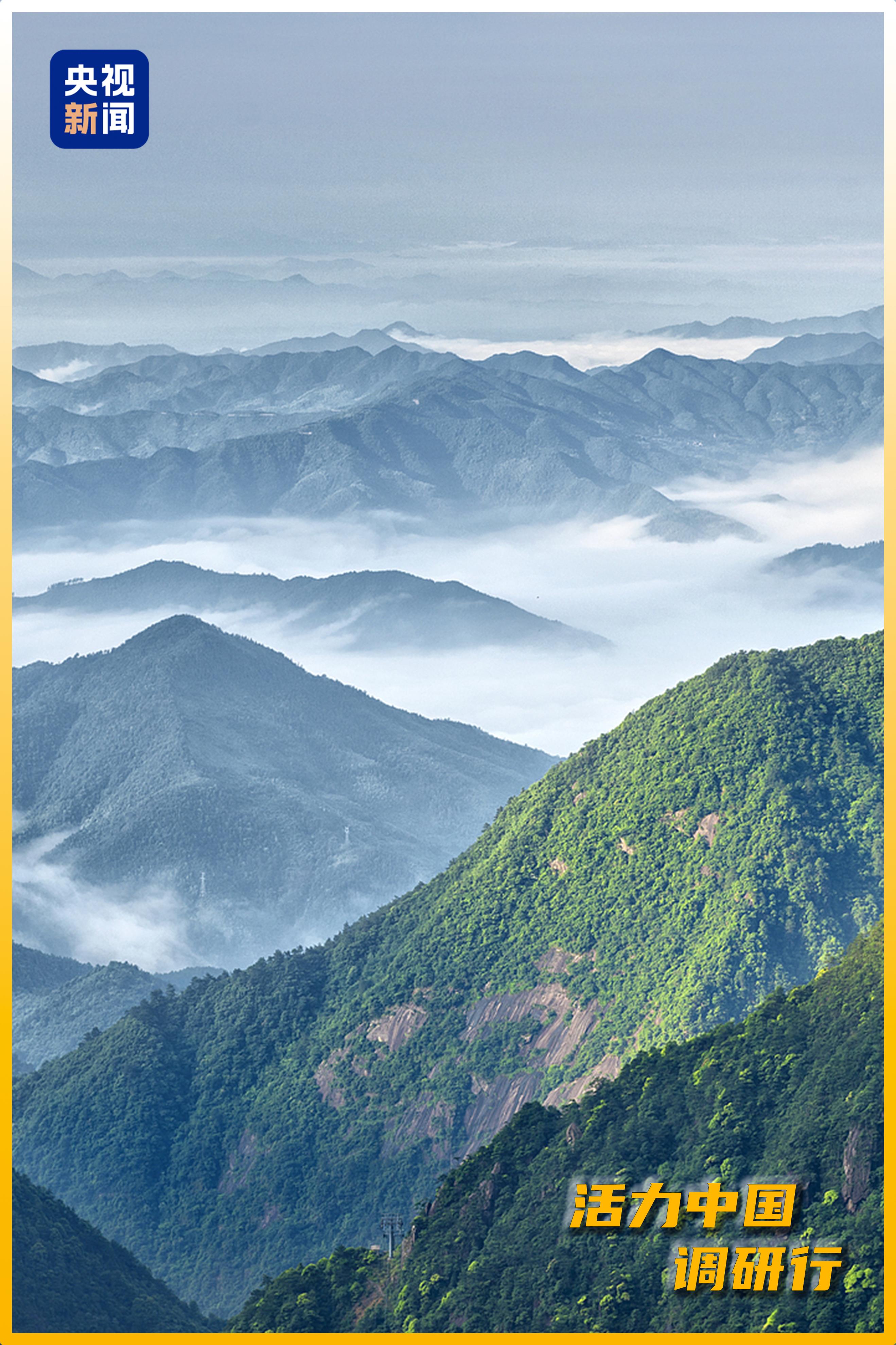 
上海华山医院黄牛代挂号电话票贩子号贩子网上预约挂号,住院检查加快,活力中国调研行丨从滕王阁到望仙谷 江西这场“更新”改变了什么？