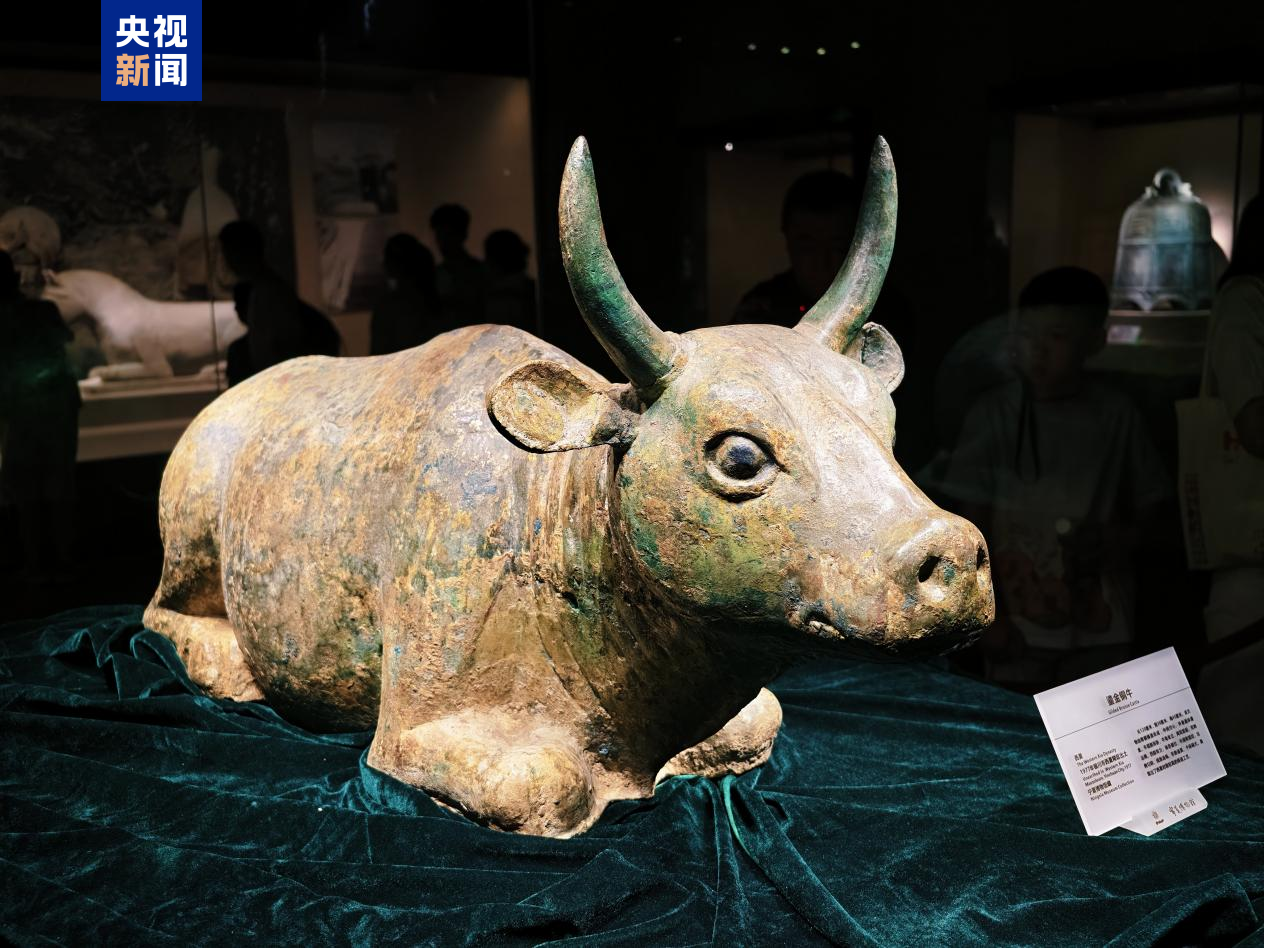 
中国人民解放军总医院黄牛代挂号电话票贩子号贩子网上预约挂号,住院检查加快,听说西夏陵申遗成功 这些珍贵文物开启了热聊模式