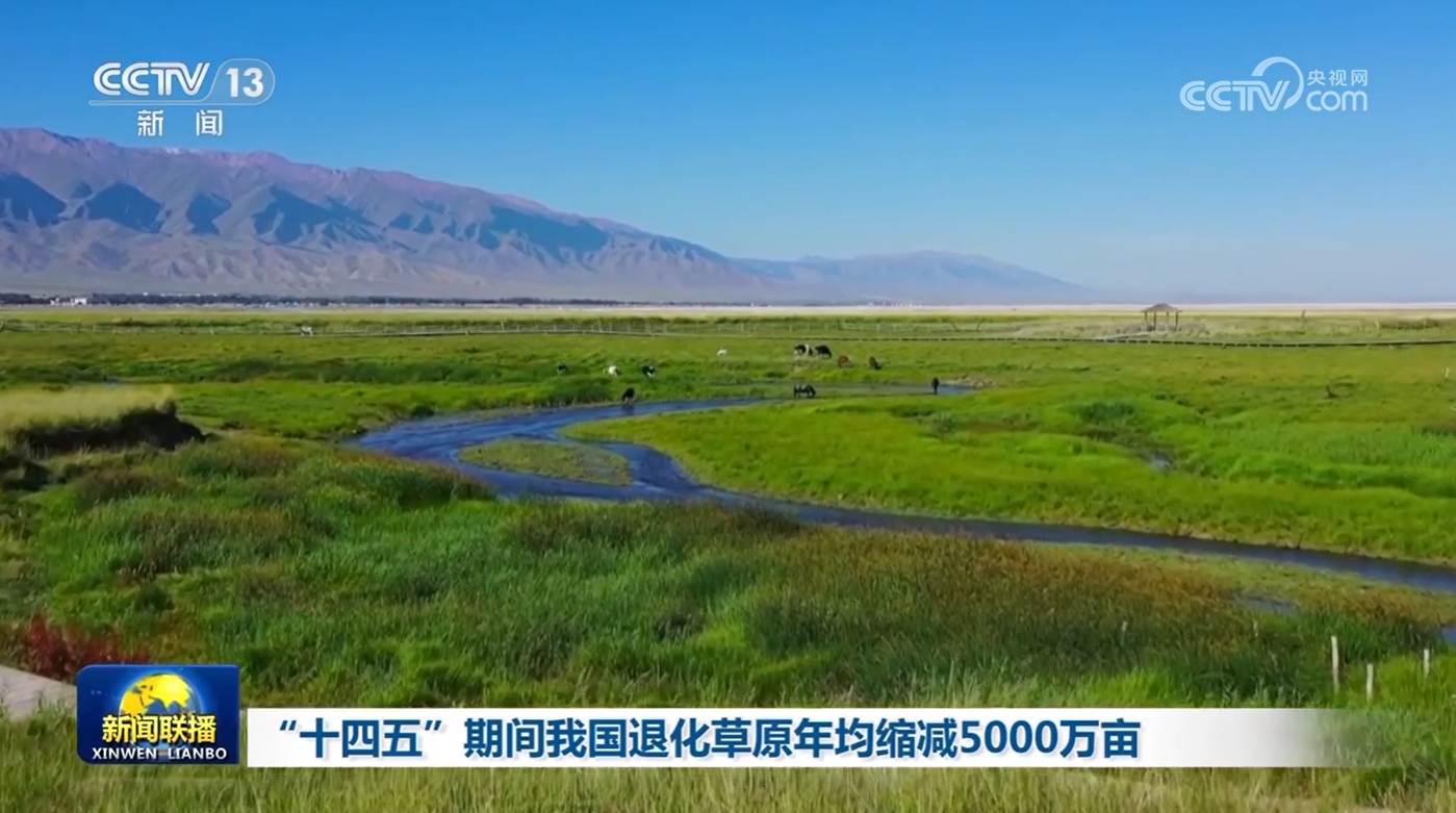 
中国医学科学院北京协和医院黄牛代挂号电话票贩子号贩子网上预约挂号,住院检查加快,“十四五”期间我国退化草原年均缩减5000万亩