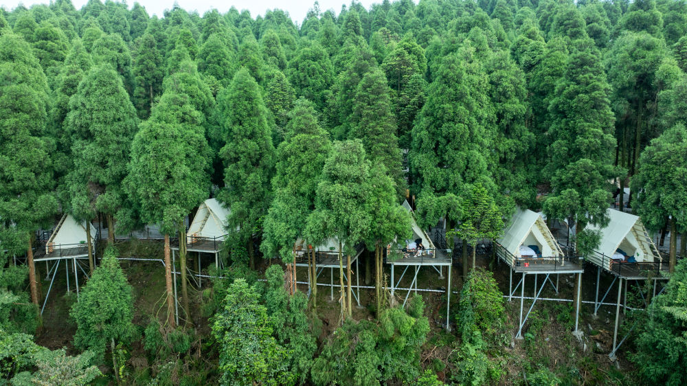 
南京各大医院黄牛代挂号电话票贩子号贩子网上预约挂号,住院检查加快,暑期消费乘“热”而上 夏日经济活力澎湃