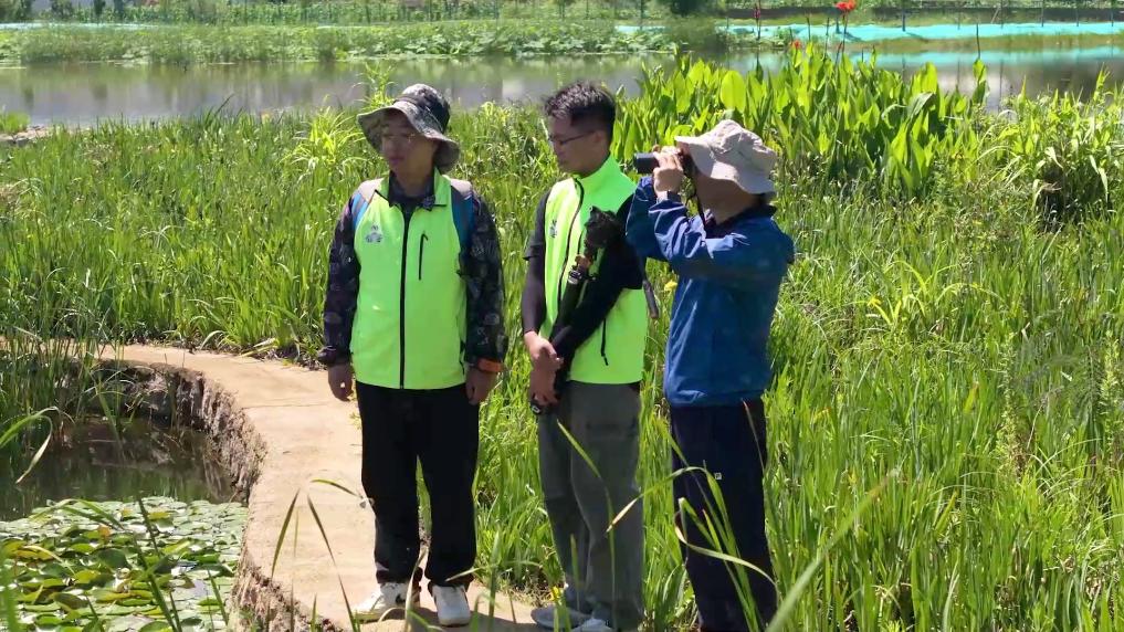 
杭州市儿童医院黄牛代挂号电话票贩子号贩子网上预约挂号,住院检查加快,新华视点丨守护鸟类家园 共绘生态蓝图