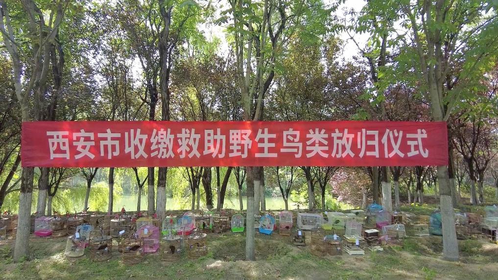 
杭州市儿童医院黄牛代挂号电话票贩子号贩子网上预约挂号,住院检查加快,新华视点丨守护鸟类家园 共绘生态蓝图
