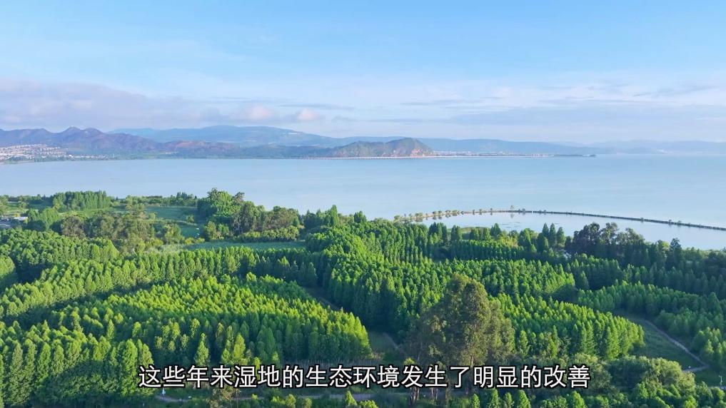 
杭州市儿童医院黄牛代挂号电话票贩子号贩子网上预约挂号,住院检查加快,新华视点丨守护鸟类家园 共绘生态蓝图