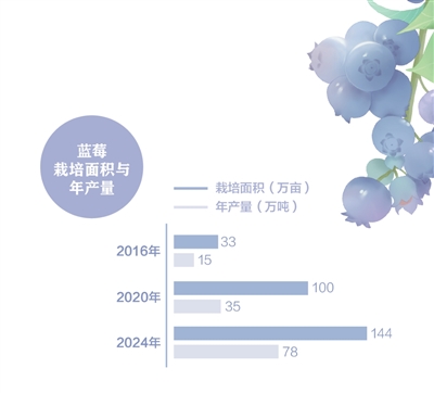 
上海儿童医院黄牛代挂号电话票贩子号贩子网上预约挂号,住院检查加快,消费者“甜”了，果农有赚头吗？（经济新方位）