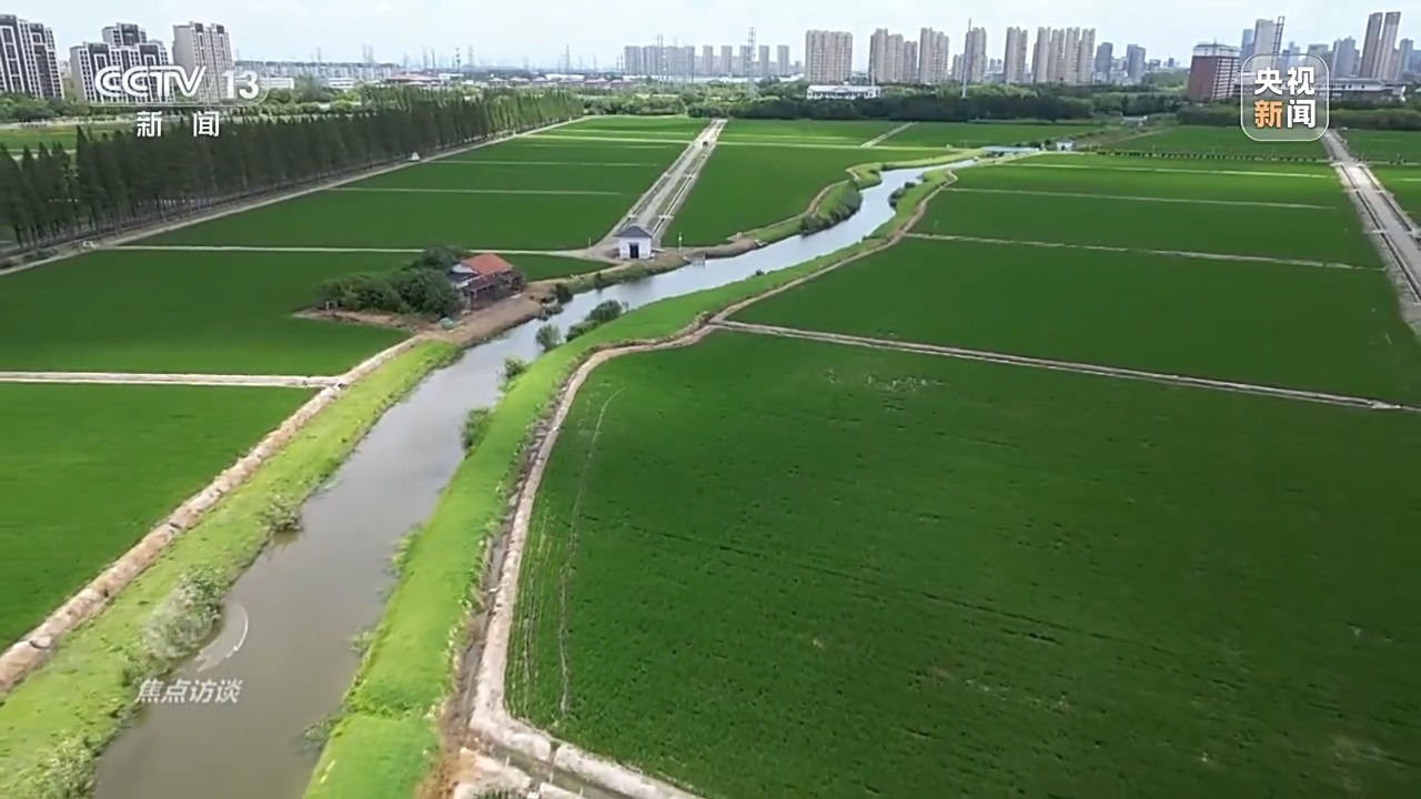 
北京同仁医院黄牛代挂号电话票贩子号贩子网上预约挂号,住院检查加快,焦点访谈丨良田+良种+良机+良法 来看各地保丰收秘籍