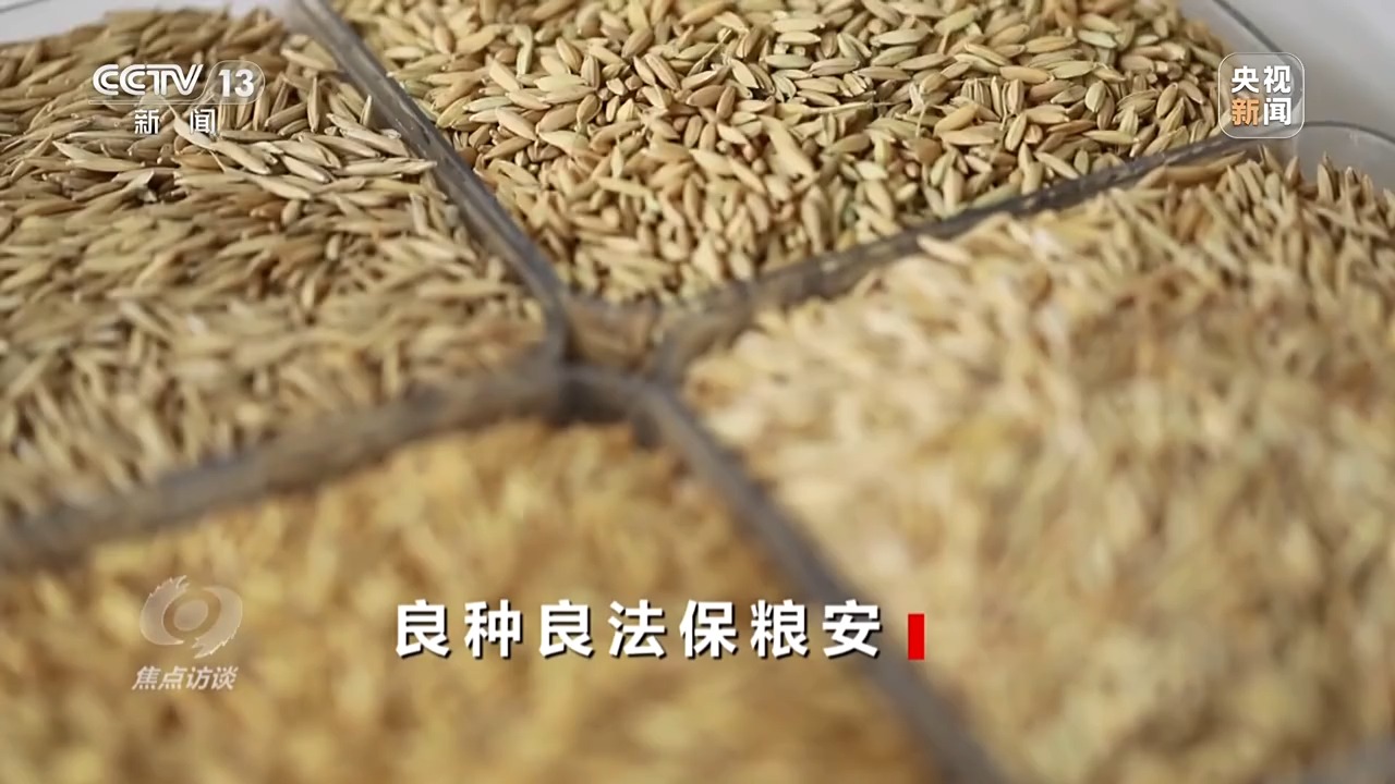 
北京同仁医院黄牛代挂号电话票贩子号贩子网上预约挂号,住院检查加快,焦点访谈丨良田+良种+良机+良法 来看各地保丰收秘籍