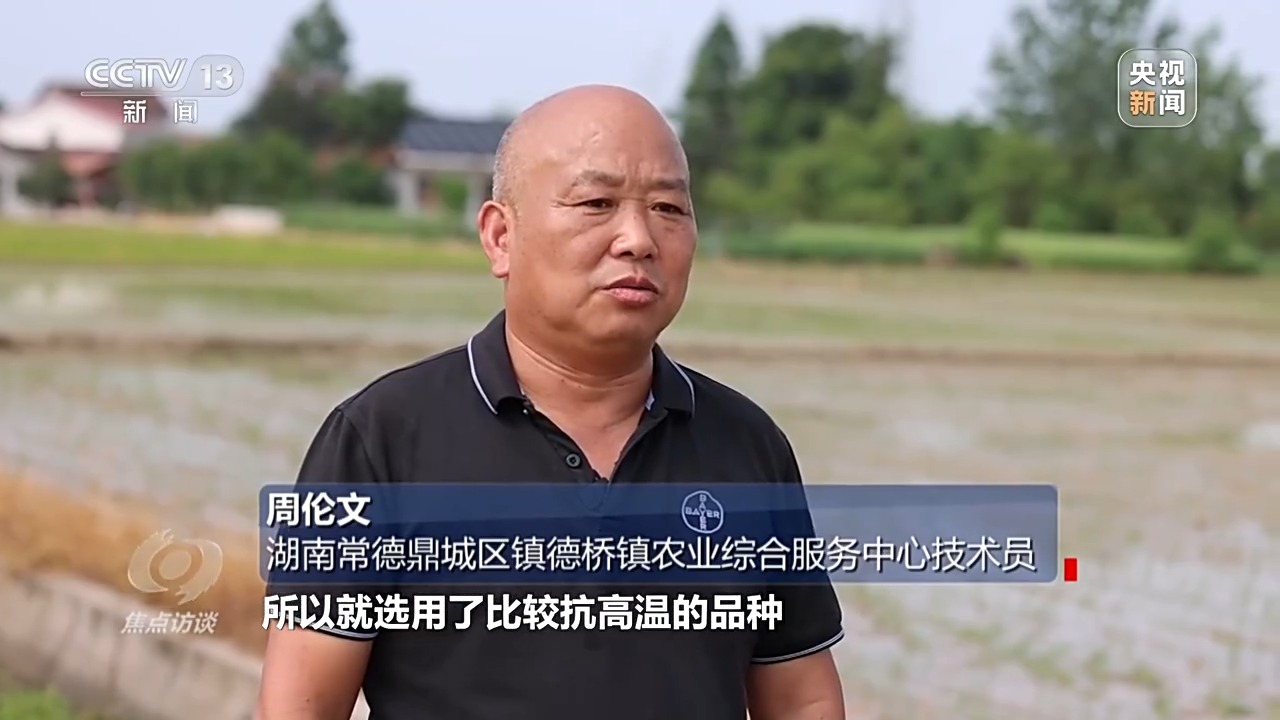 
北京同仁医院黄牛代挂号电话票贩子号贩子网上预约挂号,住院检查加快,焦点访谈丨良田+良种+良机+良法 来看各地保丰收秘籍