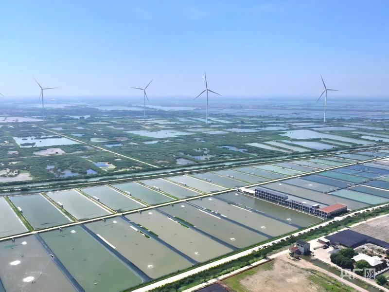
东直门医院黄牛代挂号电话票贩子号贩子网上预约挂号,住院检查加快,高质量发展看中国｜渔光一体 万亩水域“点绿成金”