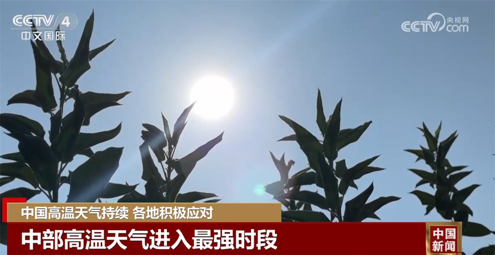 
山东大学齐鲁医院黄牛代挂号电话票贩子号贩子网上预约挂号,住院检查加快,爱心驿站、人防纳凉中心、喷洒作业……各地积极“战”高温保民生