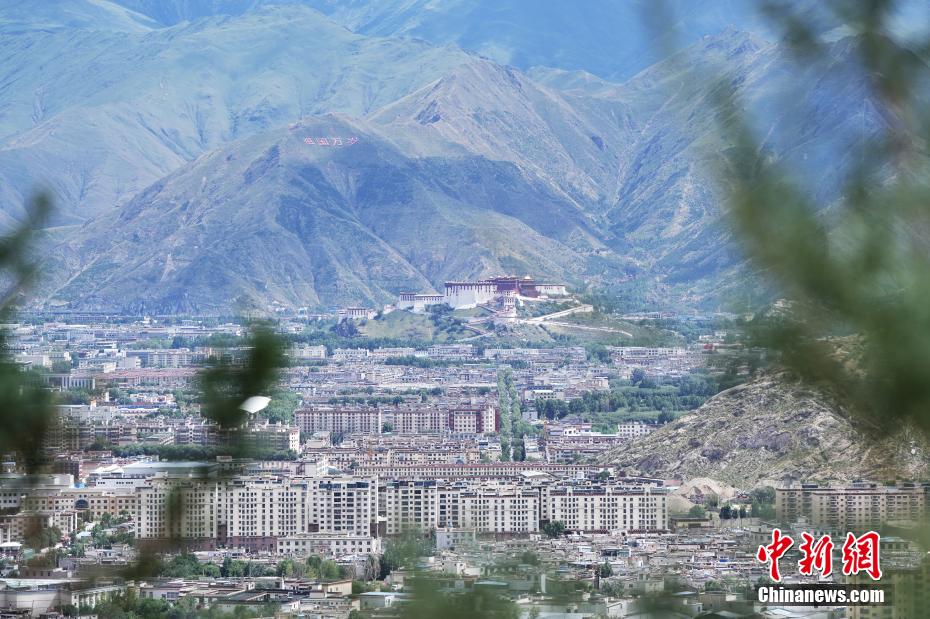 
北大医院黄牛代挂号电话票贩子号贩子网上预约挂号,住院检查加快,（辉煌60载 魅力新西藏）世界屋脊上的“绿色奇迹”：拉萨南北山绿意盎然