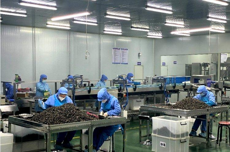 
安定医院黄牛号贩子票贩子代网上预约代挂号电话活力中国调研行丨汪清小木耳凭什么拿到众多“大厂”offer？