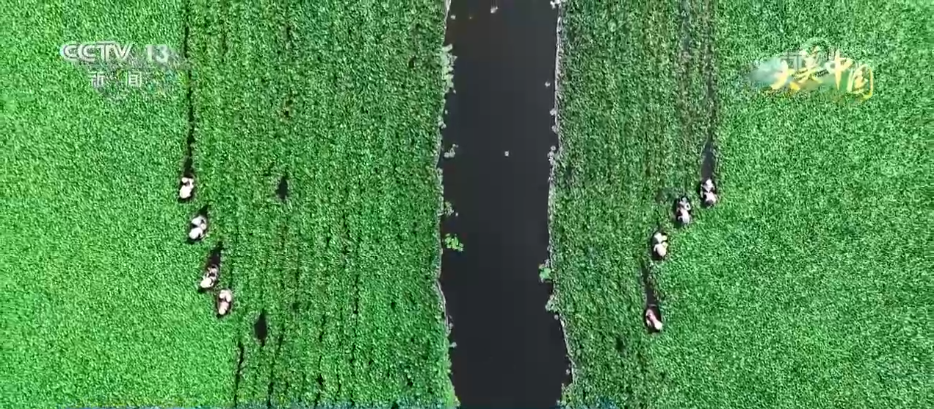 
代挂姜玉武的号黄牛代挂号电话票贩子号贩子网上预约挂号,住院检查加快,青峰翠壑、奇松怪石、碧海银沙……各地夏日美景勾勒出一幅盛夏绮丽画卷