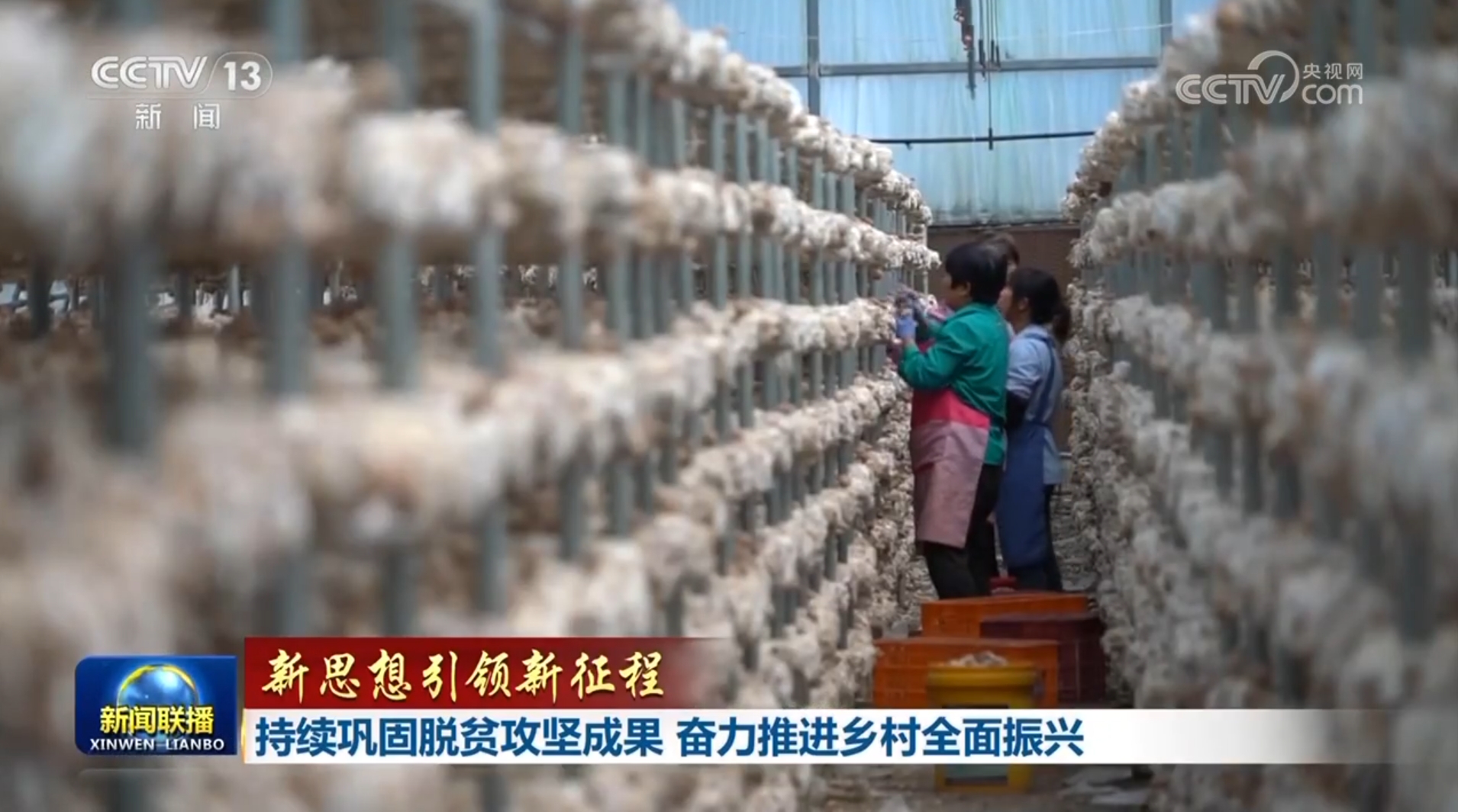 
北京大学第一医院黄牛代挂号电话票贩子号贩子网上预约挂号,住院检查加快,【新思想引领新征程】持续巩固脱贫攻坚成果 奋力推进乡村全面振兴