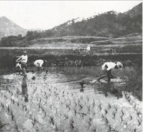 
北京同仁医院黄牛代挂号电话票贩子号贩子网上预约挂号,住院检查加快,抗战影像记忆｜这些影像，让世界看见新四军抗战实况