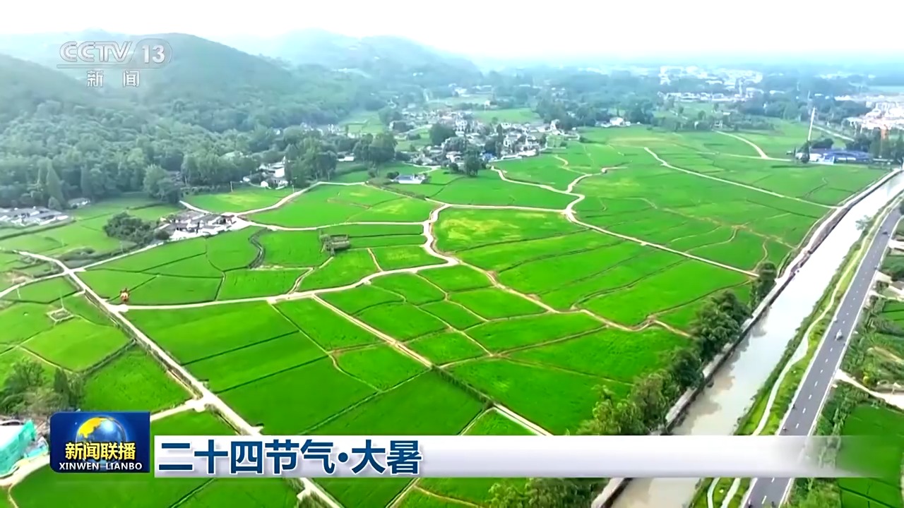 
南京市第一医院黄牛代挂号电话票贩子号贩子网上预约挂号,住院检查加快,文化中国行丨二十四节气·大暑 映日荷花别样红