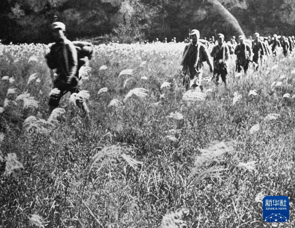 
上海精神卫生中心黄牛代挂号电话票贩子号贩子网上预约挂号,住院检查加快,抗战影像记忆｜南泥湾，好地方
