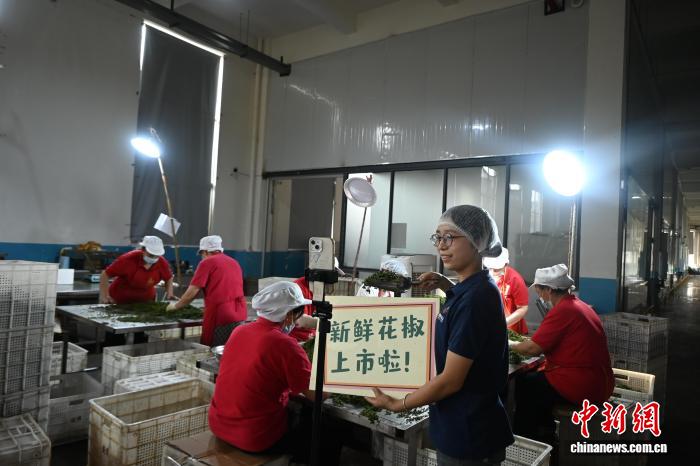 
长沙湘雅医院黄牛代挂号电话票贩子号贩子网上预约挂号,住院检查加快,（走进中国乡村）从背篓到网络 “中国花椒之乡”香飘世界
