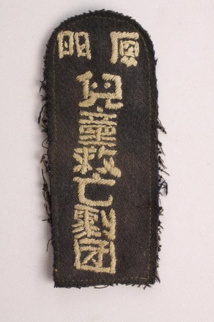 
南方医科大学南方医院黄牛代挂号电话票贩子号贩子网上预约挂号,住院检查加快,少年肩担救国任，浮萍不改赤子心丨山河壮歌