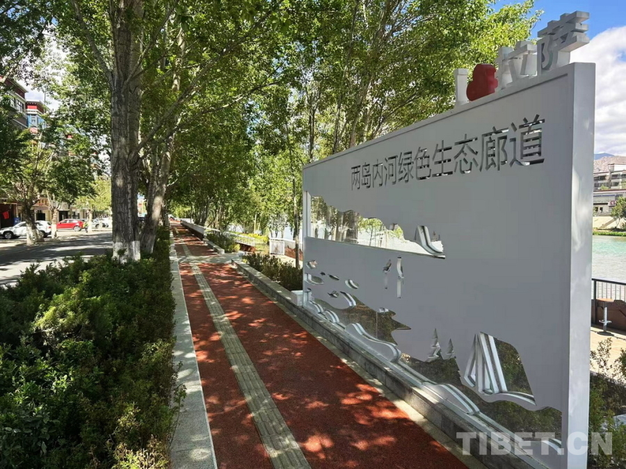 
南京市第一医院黄牛代挂号电话票贩子号贩子网上预约挂号,住院检查加快,辉煌60年·我们的家园｜昔日荒滩变身美景 拉萨的诗意写在绿水青山间
