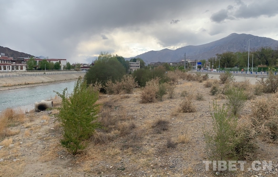 
南京市第一医院黄牛代挂号电话票贩子号贩子网上预约挂号,住院检查加快,辉煌60年·我们的家园｜昔日荒滩变身美景 拉萨的诗意写在绿水青山间