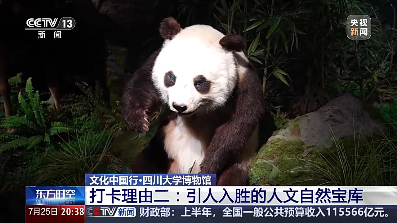 
首都医科大学附属安贞医院黄牛代挂号电话票贩子号贩子网上预约挂号,住院检查加快,文化中国行丨这座博物馆像一部西南“百科全书” 里面有些啥宝藏？