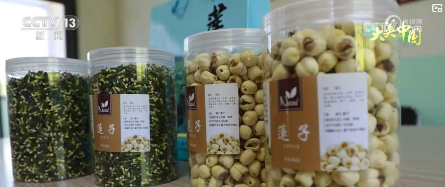
北京中医院黄牛代挂号电话票贩子号贩子网上预约挂号,住院检查加快,夏日丰收季：特色农业结硕果 乡村振兴添活力