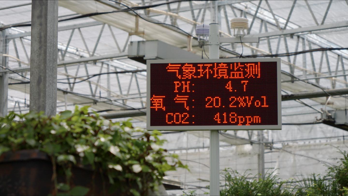 
北医六院黄牛代挂号电话票贩子号贩子网上预约挂号,住院检查加快,辉煌60年·我们的家园｜高原上的新农人