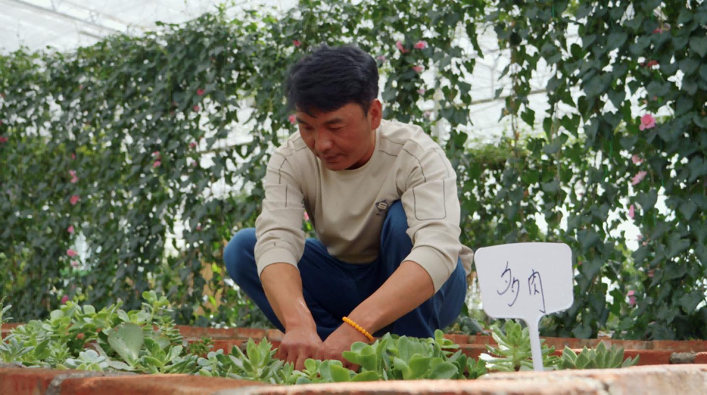 
北医六院黄牛代挂号电话票贩子号贩子网上预约挂号,住院检查加快,辉煌60年·我们的家园｜高原上的新农人