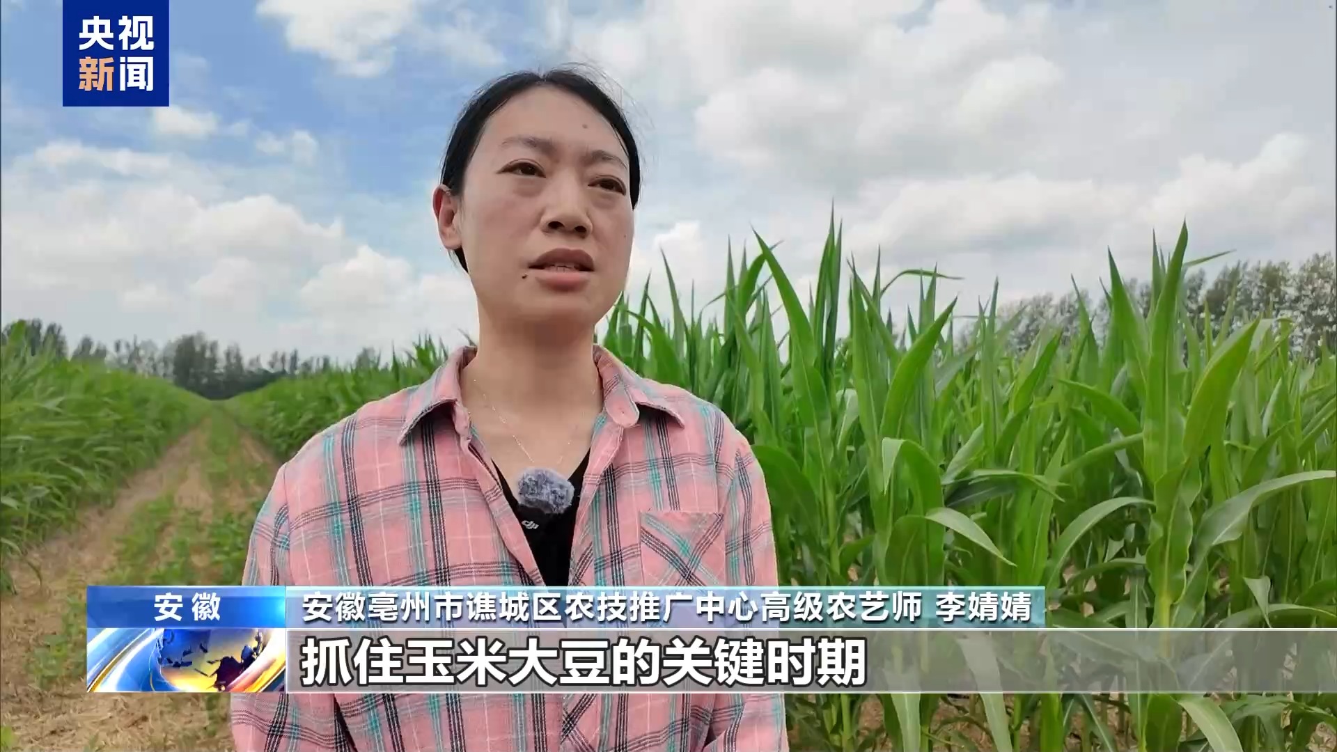 
天津医科大学第二医院黄牛号贩子票贩子代网上预约代挂号电话农业防高温干旱三级应急响应启动 力保秋粮丰收