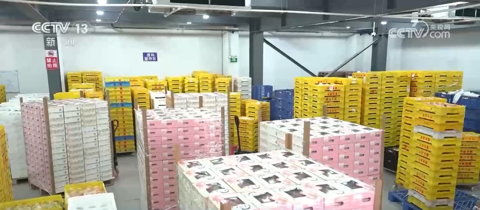 
西安西京医院黄牛代挂号电话票贩子号贩子网上预约挂号,住院检查加快,科技引流、直播创新、以旧换新……从“新账单”看“新生活” 乡村消费亮点纷呈