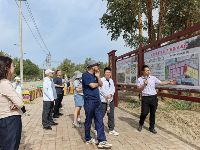 
广州中医院黄牛代挂号电话票贩子号贩子网上预约挂号,住院检查加快,从“戈壁仙草”看防沙治沙的“新疆智慧”