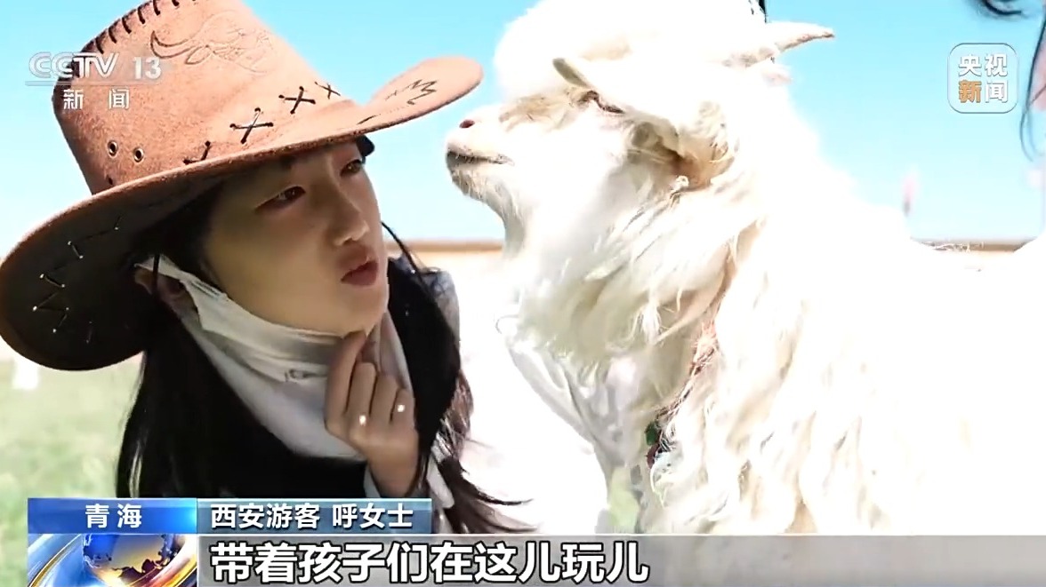 
江苏省中西医结合医院黄牛代挂号电话票贩子号贩子网上预约挂号,住院检查加快,活力中国调研行丨“一季火”到“四季新” 高原小城打造文旅新名片