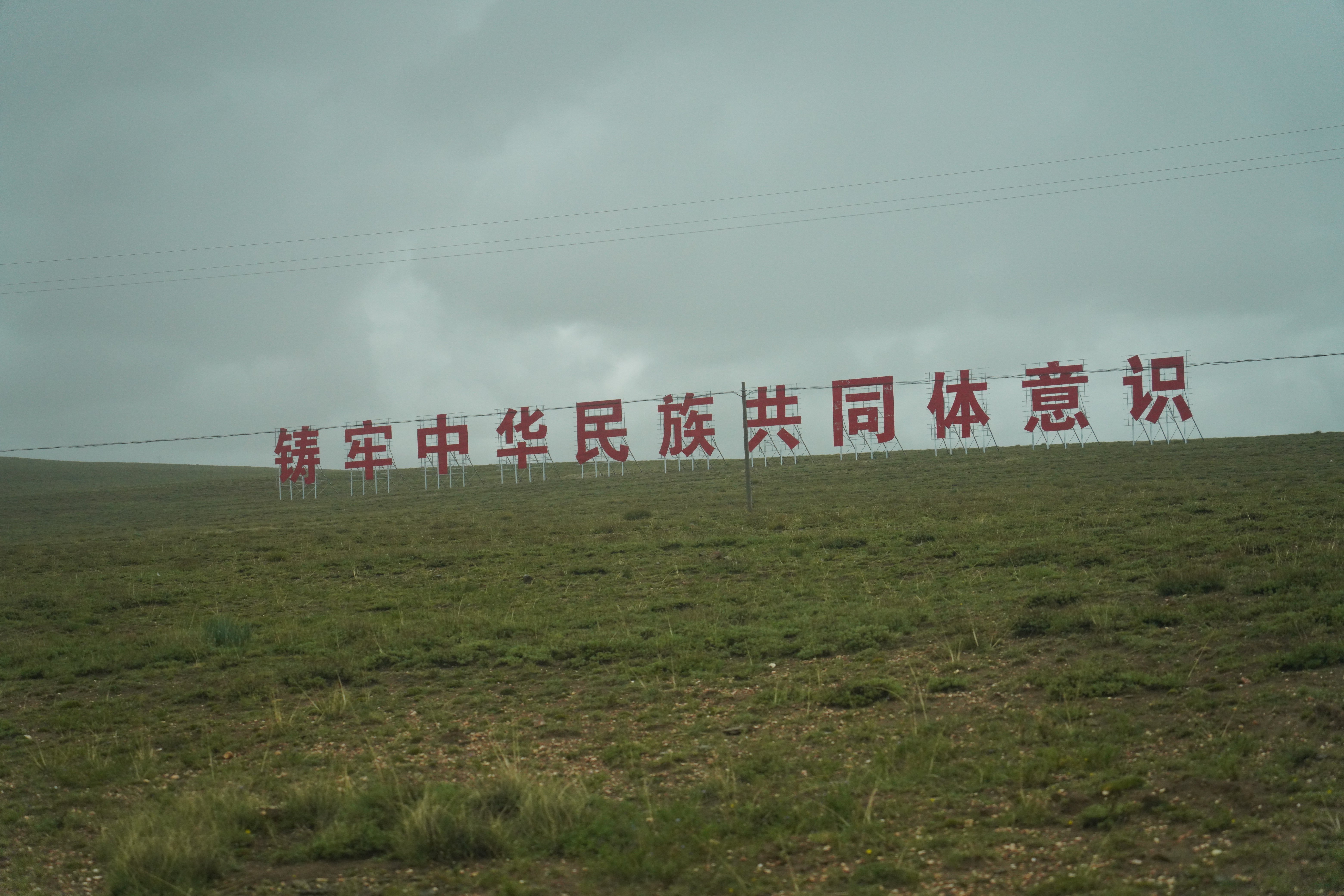 
北京大学人民医院黄牛代挂号电话票贩子号贩子网上预约挂号,住院检查加快,【辉煌60载 魅力新西藏】镜观西藏：风起曲松藏药香