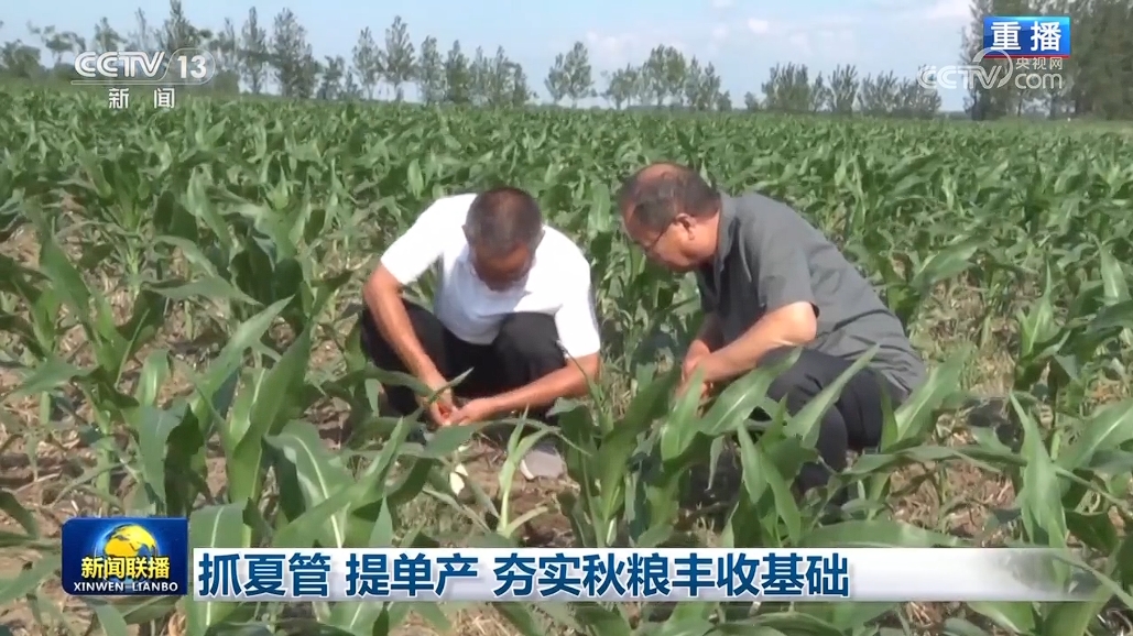 
回龙观医院黄牛代挂号电话票贩子号贩子网上预约挂号,住院检查加快,抓夏管 提单产 夯实秋粮丰收基础