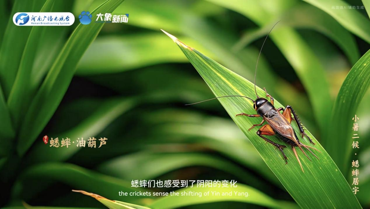
中山大学附属第一医院黄牛代挂号电话票贩子号贩子网上预约挂号,住院检查加快,何以中国丨中国节气·小暑