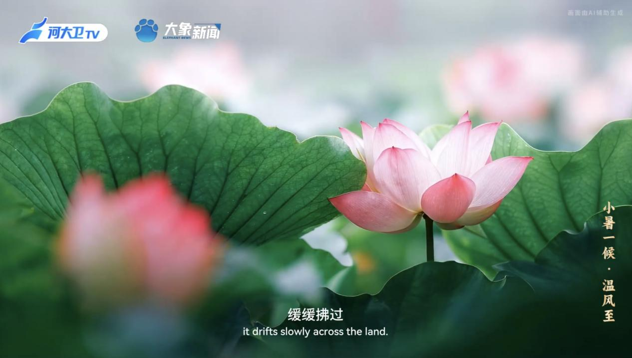 
中山大学附属第一医院黄牛代挂号电话票贩子号贩子网上预约挂号,住院检查加快,何以中国丨中国节气·小暑