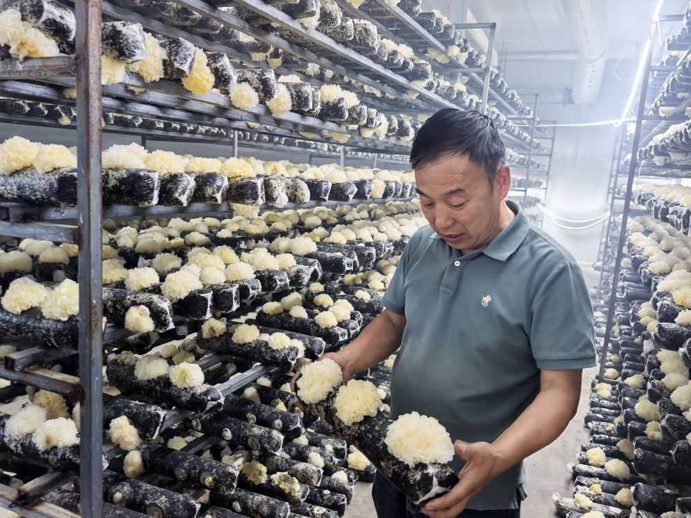 
上海中山医院黄牛代挂号电话票贩子号贩子网上预约挂号,住院检查加快,泰山天山根连根 鲁疆同心绘新篇——山东对口援疆助力喀什高质量发展纪实