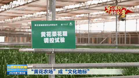 
北京大学肿瘤医院黄牛代挂号电话票贩子号贩子网上预约挂号,住院检查加快,牢记嘱托 转型奋“晋”｜从“一朵黄花”到“一路生花”