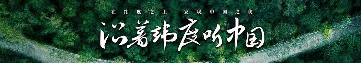 
浙江第二医院黄牛代挂号电话票贩子号贩子网上预约挂号,住院检查加快,沿着纬度听中国丨徒步四明山：链接生命 对话自然
